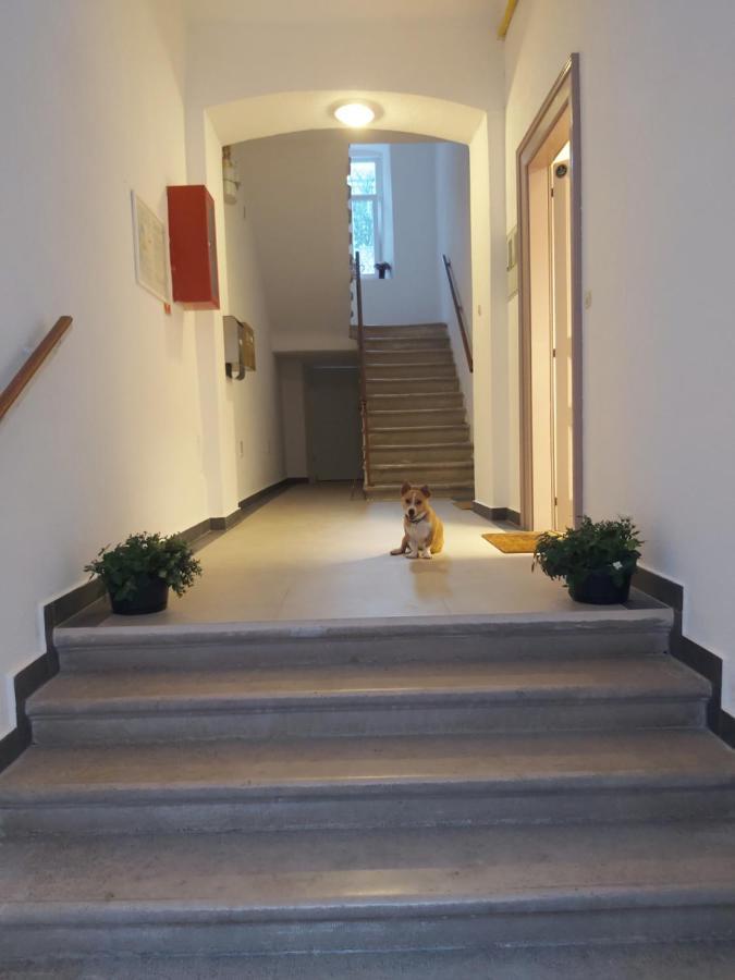 Apartman Draguc Πούλα Εξωτερικό φωτογραφία